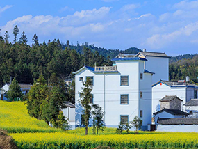 国家振兴计划